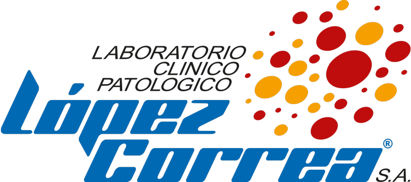 Socio Estratégico