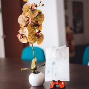 Bono felicidades: Orquídea
