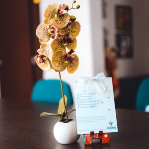 Bono condolencias: Orquídea